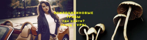 а пвп мука Болохово