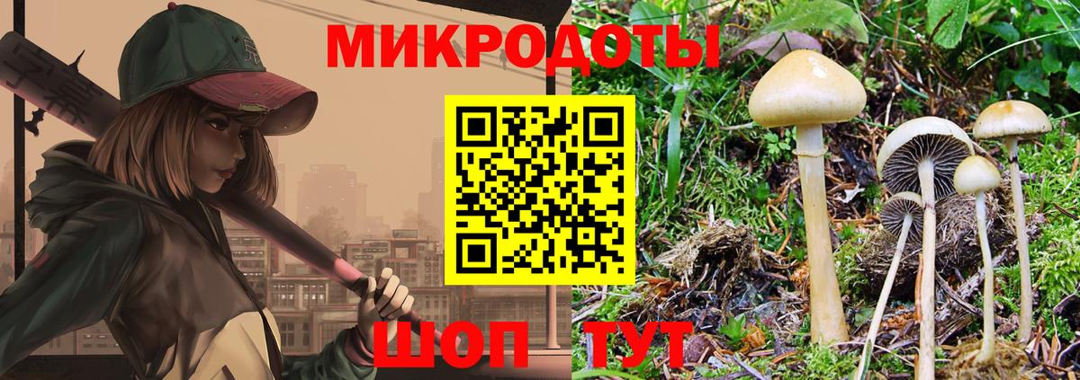 Псилоцибиновые грибы мицелий  Гуково  Псилоцибиновые грибы мухоморы 