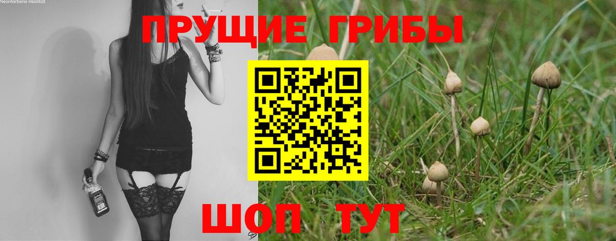 Псилоцибиновые грибы MAGIC MUSHROOMS  Галлюциногенные грибы Magic Shrooms  Вход с VPN  Гуково 